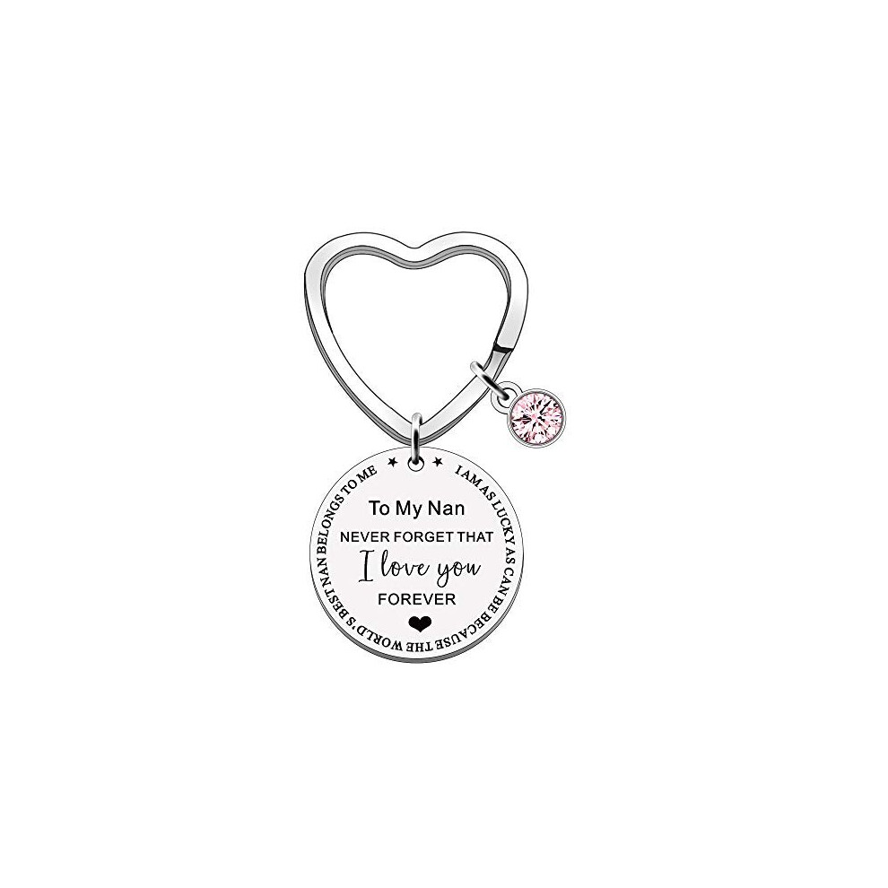 FMCC Nan Gifts Mothers Day Gifts for Nan Best Nan Keyring Nan Birthday Christmas Present from Grandchildren Never Forget That I Love You Forever