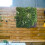 Artificial Green Living Wall Hedge Plant Panel  100x100cm 5