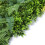 Artificial Green Living Wall Hedge Plant Panel  100x100cm 6