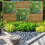 Artificial Green Living Wall Hedge Plant Panel  100x100cm 12