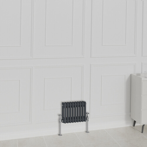 (300x425mm-2 Column, Anthracite) NRG Traditional Radiator Horizontal Vertical Cast Iron Style Double Triple Panel Rads