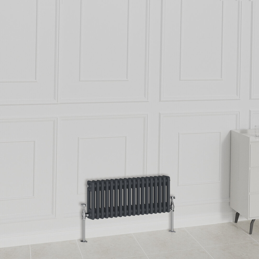 Nrg (300X830mm-2 Column, ) Traditional Radiator Horizontal Vertical Cast Iron Style Double Triple Panel Rads Anthracite