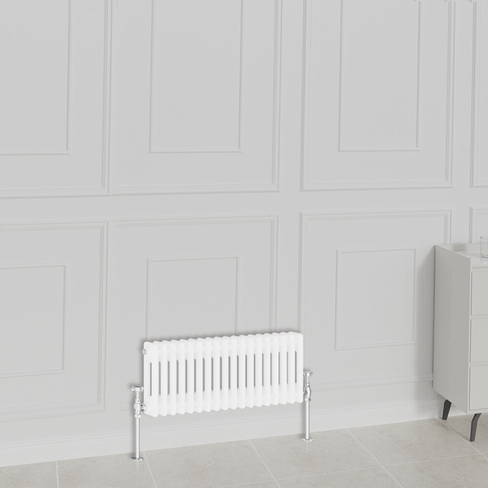 Nrg (300X830mm-2 Column, ) Traditional Radiator Horizontal Vertical Cast Iron Style Double Triple Panel Rads White