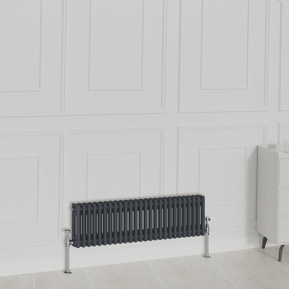 Nrg (300X1190mm-2 Column, Anthracite) Traditional Radiator Horizontal Vertical Cast Iron Style Double Triple Panel Rads