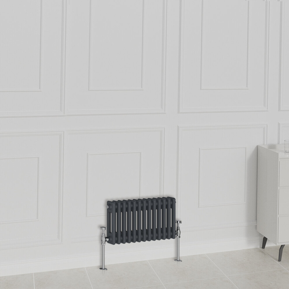 Nrg (300X605mm-2 Column, ) Traditional Radiator Horizontal Vertical Cast Iron Style Double Triple Panel Rads Anthracite