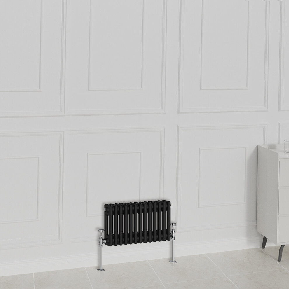 Nrg (300X605mm-2 Column, ) Traditional Radiator Horizontal Vertical Cast Iron Style Double Triple Panel Rads Black