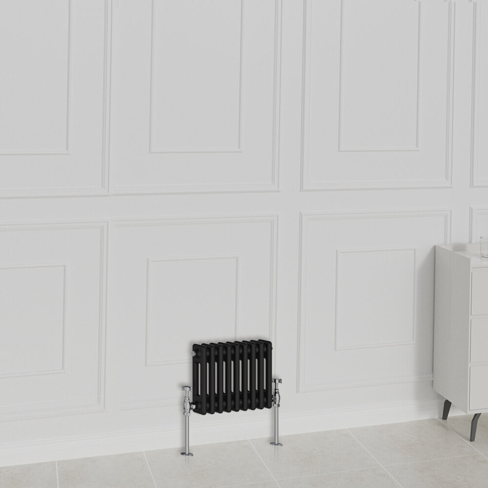 Nrg (300X425mm-2 Column, ) Traditional Radiator Horizontal Vertical Cast Iron Style Double Triple Panel Rads Black