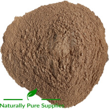 Garlic Powder Horse Herb, Equine Natural Feed Supplement- 450g