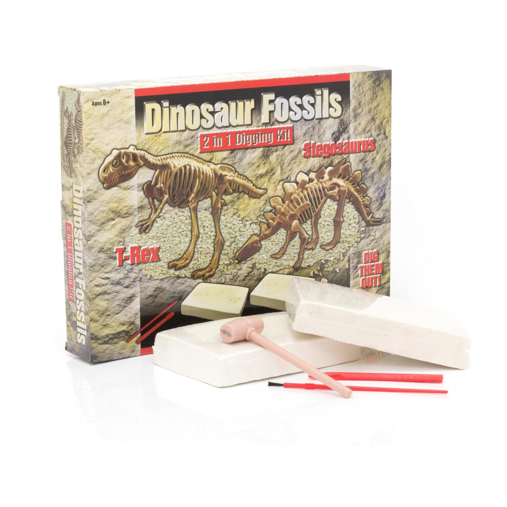Carousel Childrens 2 In 1 T Rex And Stegosaurus Dinosaur Dig Up Kit | Kids Dinosaur Gifts