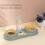 Double Dog Cat Bowls Automatic Feeder Water Dispenser Tilted Cat Food 5