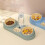 Double Dog Cat Bowls Automatic Feeder Water Dispenser Tilted Cat Food 6