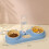 Double Dog Cat Bowls Automatic Feeder Water Dispenser Tilted Cat Food 8