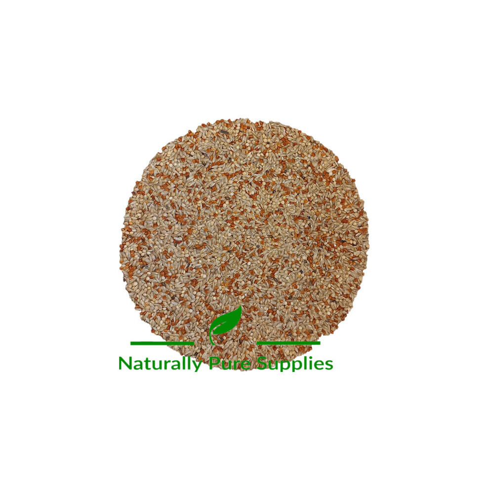 High Quality Budgie Seed (White Millet, Red Millet and Canary Seed)- 2kg