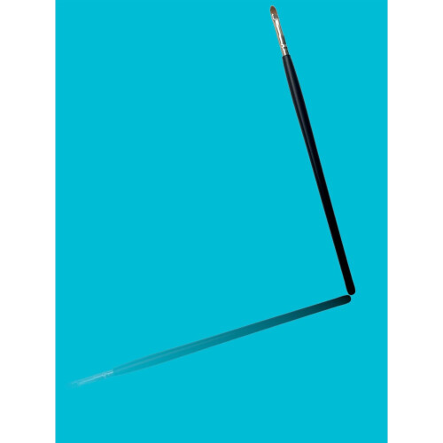 (1) ProTech Professional Eyebrow and Eyelash Tinting Brush 1