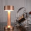 (bronze) Cordless LED Desk Lamp Touch Sensor Table Lamp USB 10