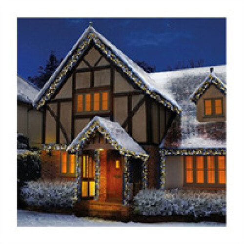 Premier Premier Christmas 2000 Multi Action LED Clusters Lights With Timer 1