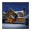Premier Premier Christmas 2000 Multi Action LED Clusters Lights With Timer 3