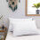 (2X Pillowcase Only) Dream Sleep Premier Hotel Quality Pillowcase Pair | Microfiber Pillow Protector 2
