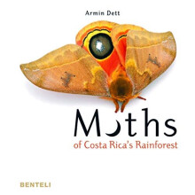 Moths of Costa Rica's Rainforest - Dett, Armin - HardBack -26/10/2017