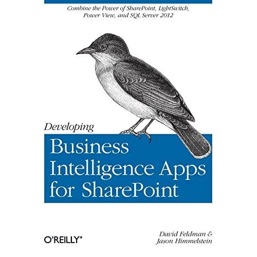 Developing Business Intelligence Apps for Sharepoint - David Feldman - Paperback -2013-08-02