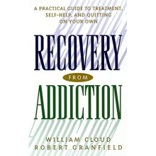 Recovery from Addiction: A Practical Guide to Treatment - Granfield, William C - Paperback -2001-04-01