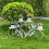 (White) 4 Tiers Plant Stand Flowers  Iron Display Rack 3