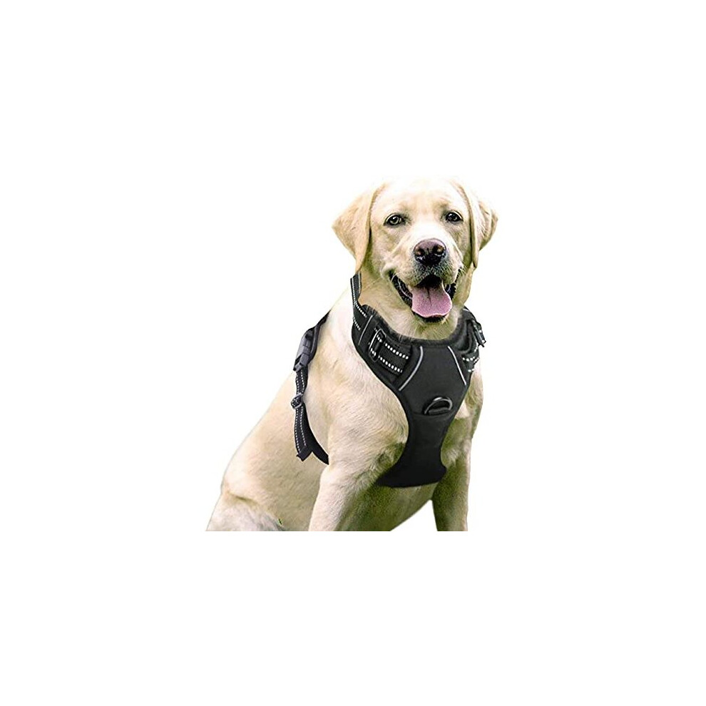 rabbitgoo Dog Harness Large Dog No Pull Pet Harness with 2 Leash Clips, Adjustable Soft Padded Pet Vest Harness, Reflective No-Choke with Easy Control