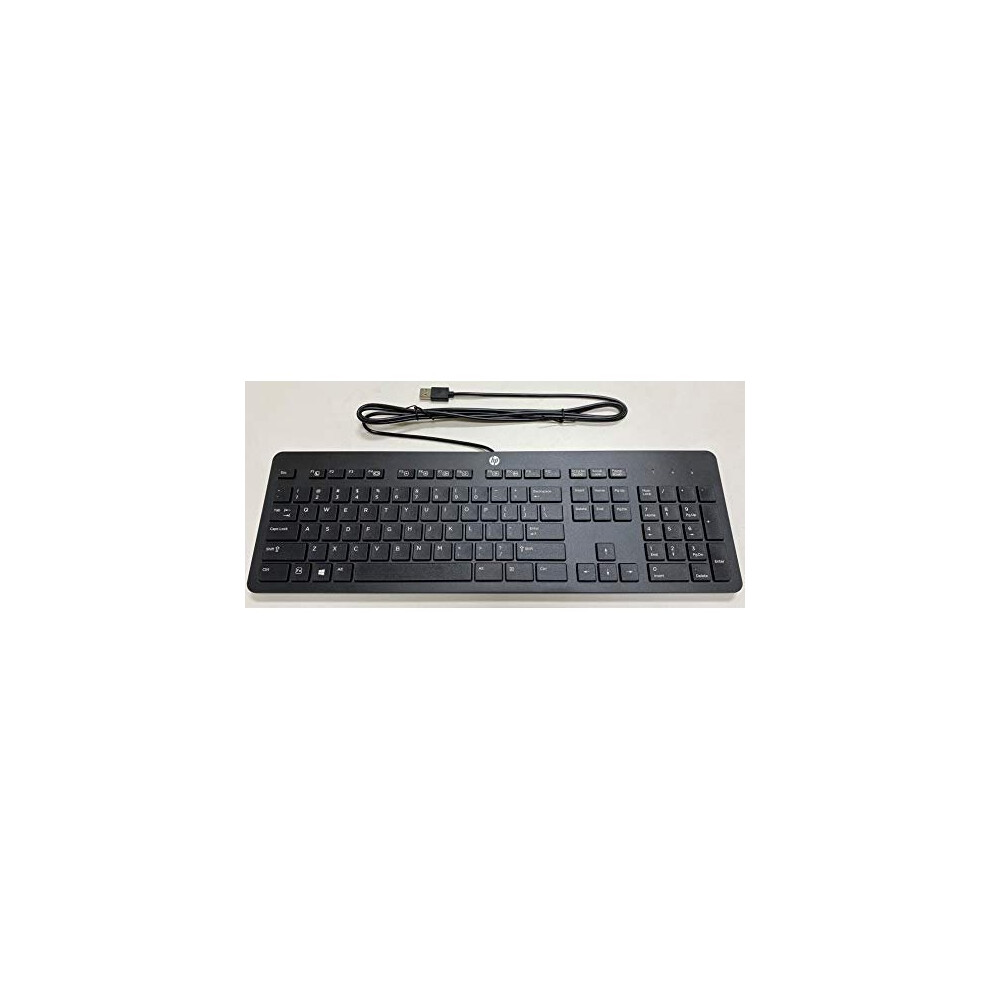 HP USB Slim Business Keyboard