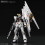 Bandai Char's Counterattack ? GUNDAM, Bandai RG 1/144 2