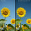 HOYA Circular Polarizing filter HD Nano MkII ø77mm 6