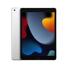 2021 Apple iPad (10.2-inch iPad, Wi-Fi + Cellular, 64GB) - Silver (9th Generation) - Refurbished