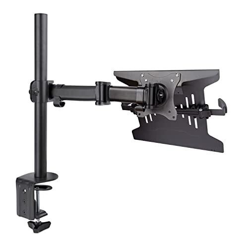 StarTech.com Support d'écran - Startech - A-LAPTOP-DESK-MOUNT - Noir - Réglable - VESA 75/100 1