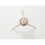 Foppapedretti Octopus Clothes Airer - Beech Wood 6