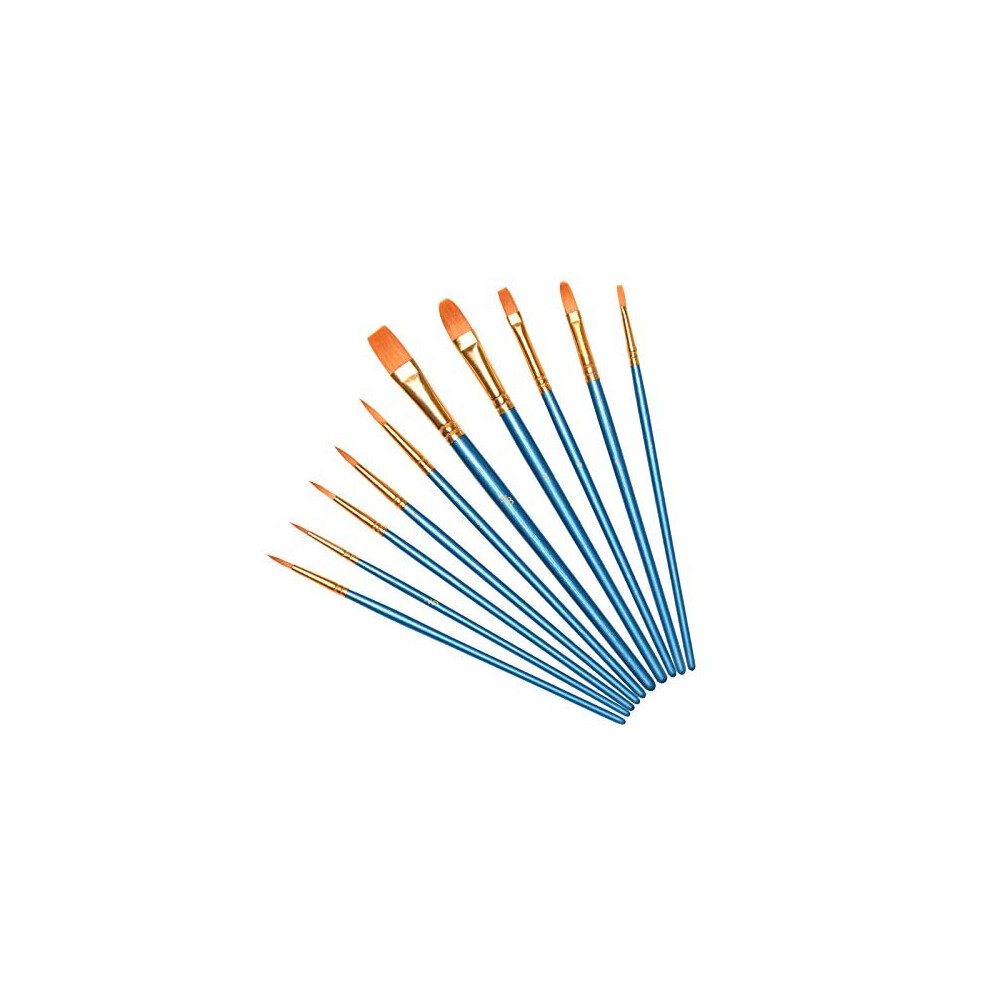Vicloon 10Pcs Paint Brushes, Professional Painting Brushes Set Nylon Hair Artist Paint Brushes For Acrylic Oil Watercolor Gouache Face Painting