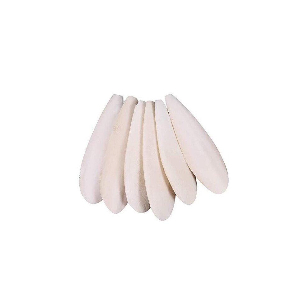 Angelikashalala Parrots Chew Toys Pieces Natural Cuttlefish Bone For Parrots Cage Birds Reptiles Tortoises Snails,10-12Cm Size 6