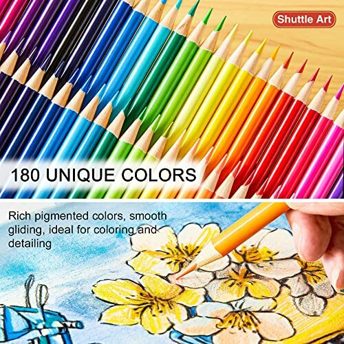 Navette Art 180 CURS DE COLORES 1