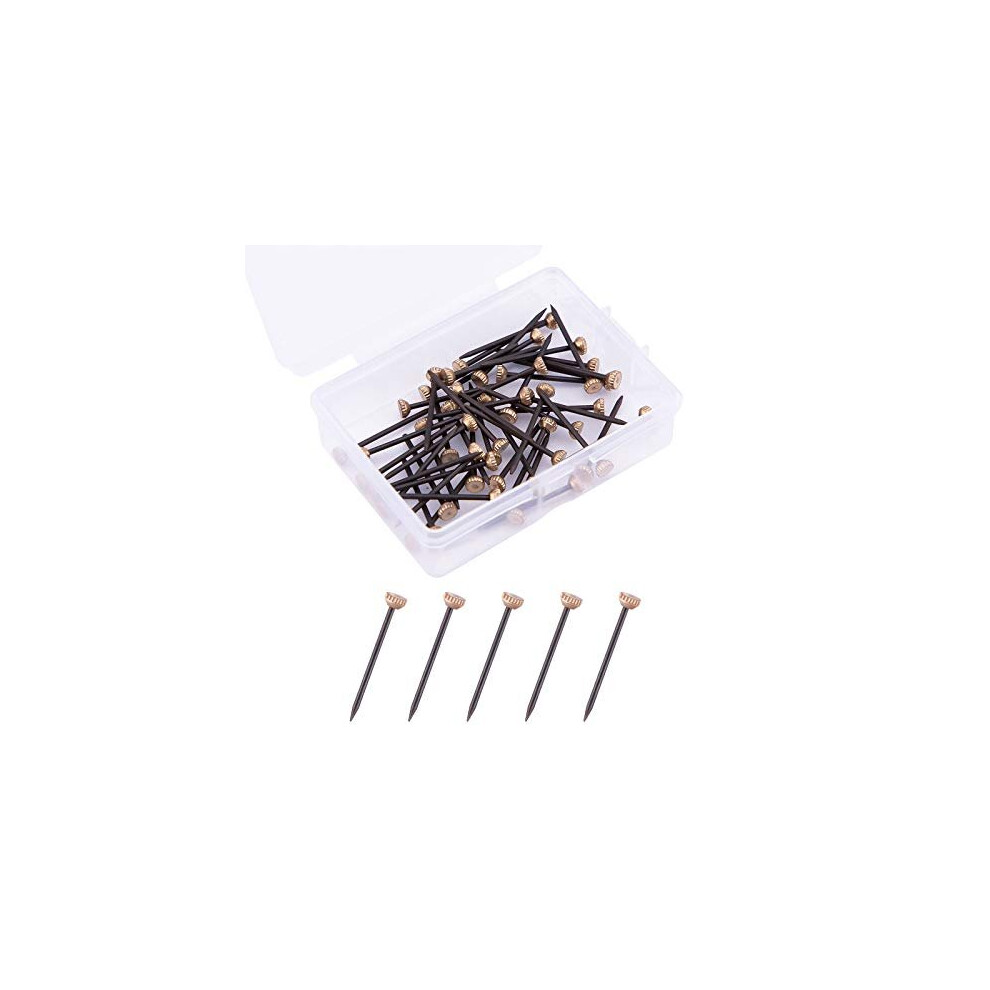 Aiex 50Pcs Picture Hanging Nails Picture Hang Solutions Plaster Picture Frame Hangers With Plastic Storage Box 6973676146973