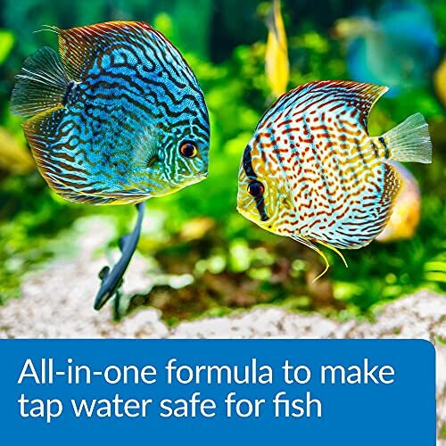 API Aqua Essential Aquarium Water Conditioner 118ml Bottle 1