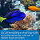 API Aqua Essential Aquarium Water Conditioner 118ml Bottle 5