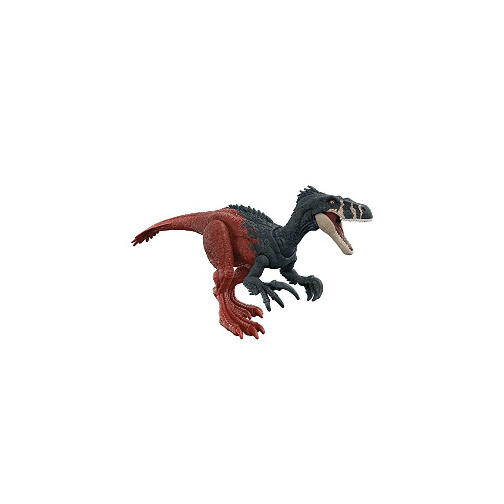Jurassic World Dominion Roar Strikers Megaraptor Dinosaur Action Figure With Attack Motion And Sound, Toy Gift With Physical And Digital Play