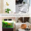 HBN Mechanical Timer Plug Socket, 24 Hour Programmable Energy Saving Compact UK Plug-in Indoor Timer Socket for Lights, Lamp and Home Appliances 7