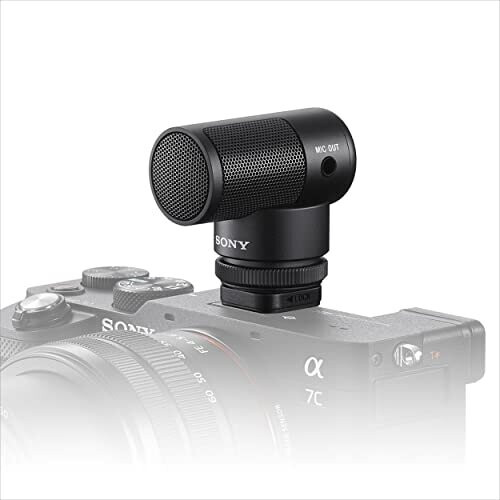 Sony Microfono Shotgun ECM-G1 di Sony (senza cavo e batteria)