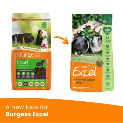Burgess Excel Guinea Pig Nuggets with Mint, 3 kg 1