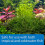 API ROOT TABS Freshwater Aquarium Plant Fertilizer 13 g 10-Count Box 5