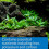 API ROOT TABS Freshwater Aquarium Plant Fertilizer 13 g 10-Count Box 3
