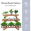 3Pack Holz Pflanze Rack Stand Leiter Garten Ecke Blume Display Regal 4