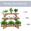 3Pack Holz Pflanze Rack Stand Leiter Garten Ecke Blume Display Regal 5