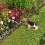 5Pack rostfreie Gartenzaun dekorative Hund Barriere Grenze 2