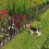 (Black) 5pcs Garden Iron Fence Rustproof Dog Barrier 2
