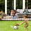 5Pack Rustproof Garden Fence Decorative Dog Barrier Border 4